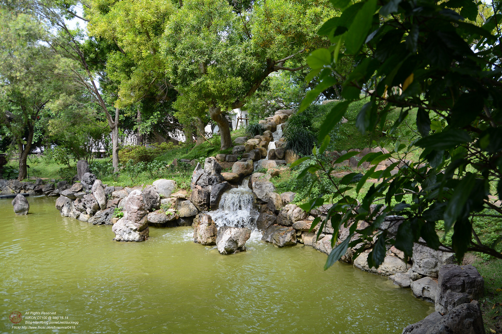 DSC_3425.jpg